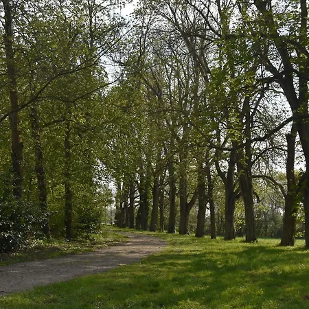 Au Cœur De La Nature Près Du Mans, 6 Pers., Domaine Historique - Fr-1-410-319